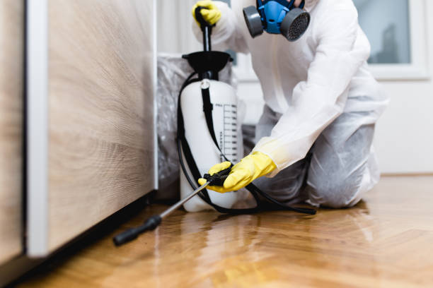 Best Cockroach Control Services  in Beckett Ridge, OH