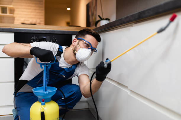 Best Rat Extermination Near Me  in Beckett Ridge, OH