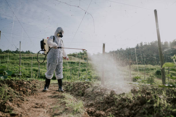 Best Commercial Pest Control Services  in Beckett Ridge, OH