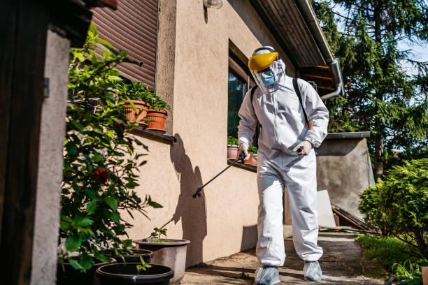 Best Pest Prevention Services  in Beckett Ridge, OH