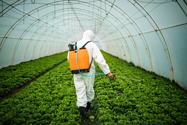 Best Pest Removal Services  in Beckett Ridge, OH