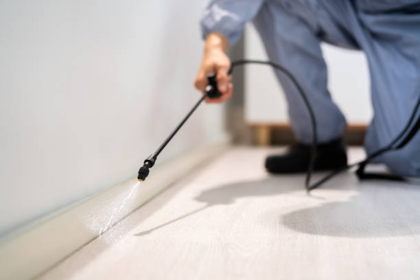 Best Flea Control Services  in Beckett Ridge, OH