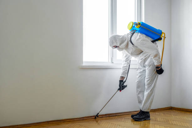 Best Emergency Pest Control  in Beckett Ridge, OH