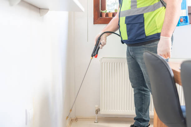 Best Termite Control Services  in Beckett Ridge, OH