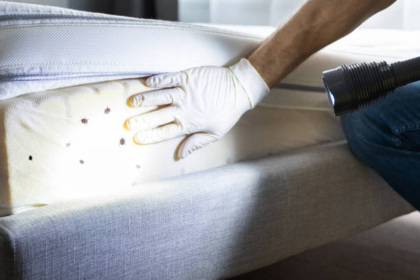 Best Local Pest Control Services  in Beckett Ridge, OH