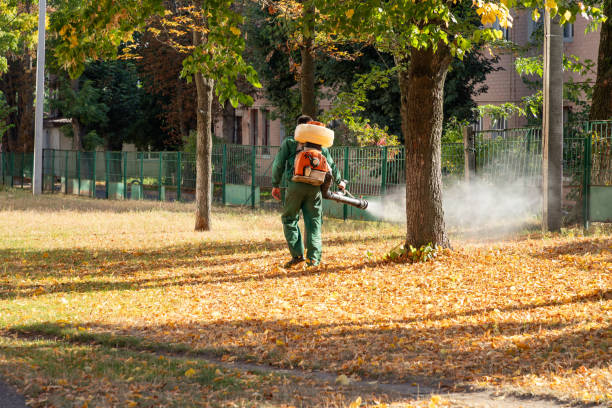 Best Residential Pest Control  in Beckett Ridge, OH