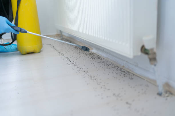 Best Affordable Pest Control Services  in Beckett Ridge, OH