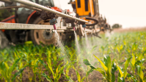 Best Ant Control Services  in Beckett Ridge, OH